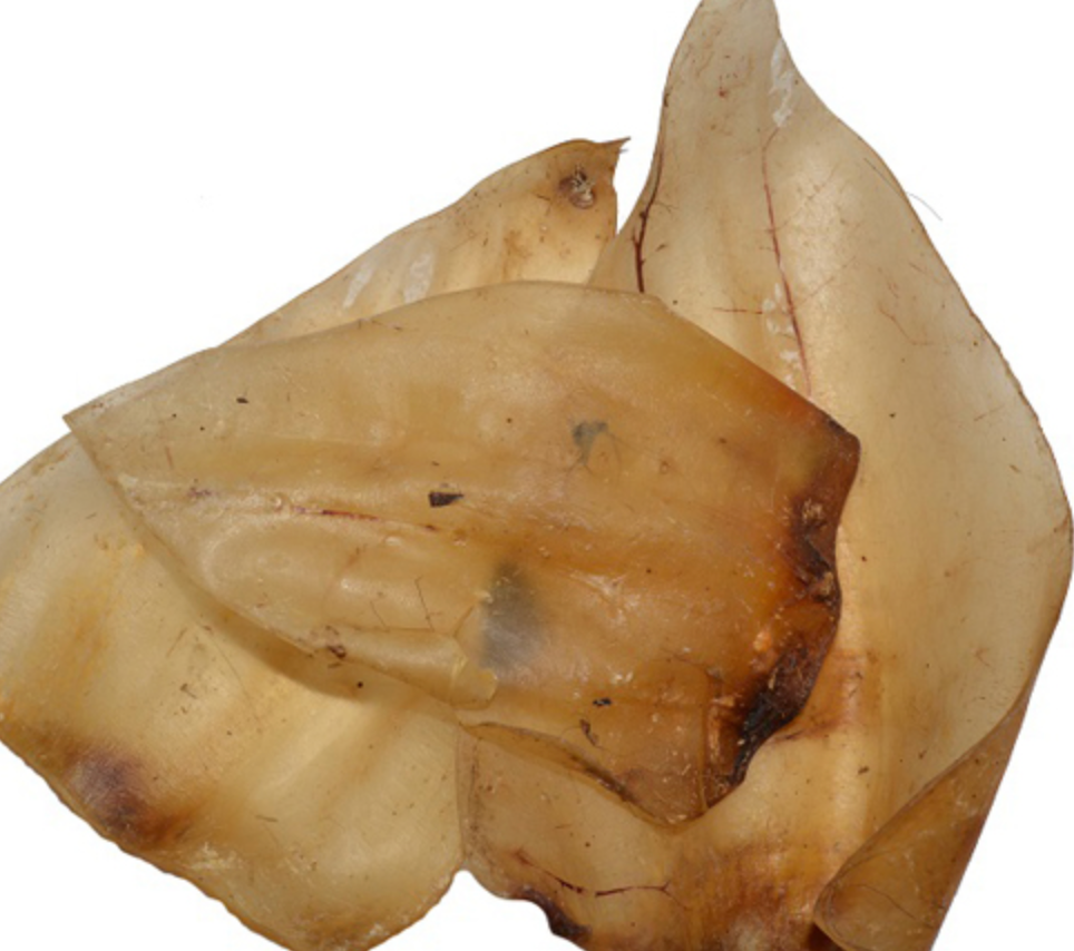 Captainpaw Kauwsnacks Rund