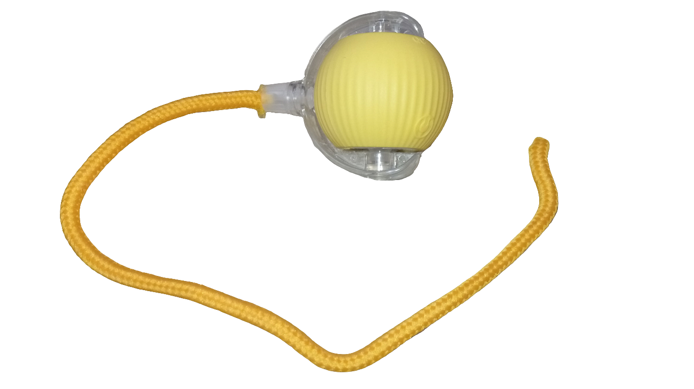 Captainpaw Interactieve Speelgoedbal