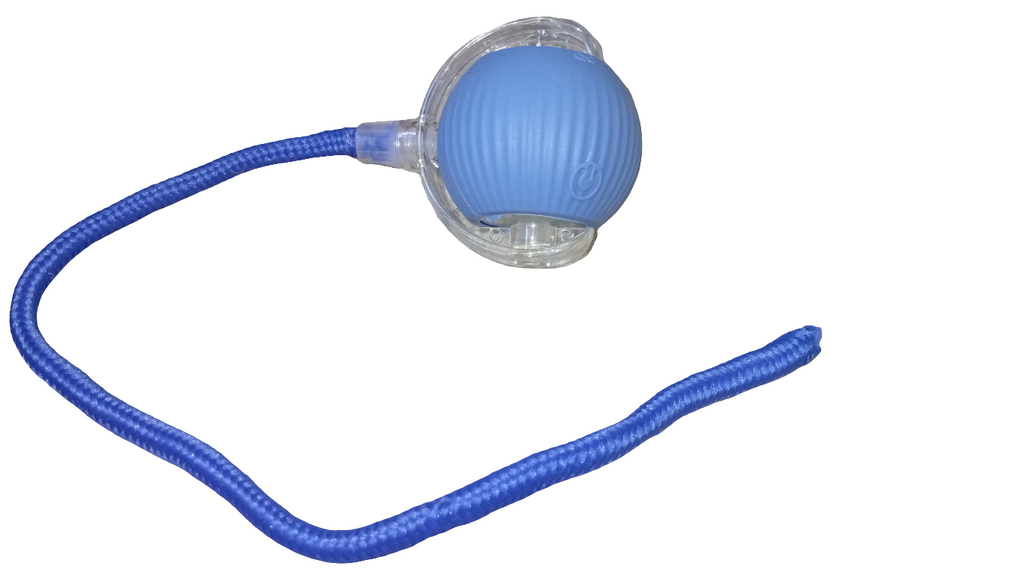 Captainpaw Interactieve Speelgoedbal