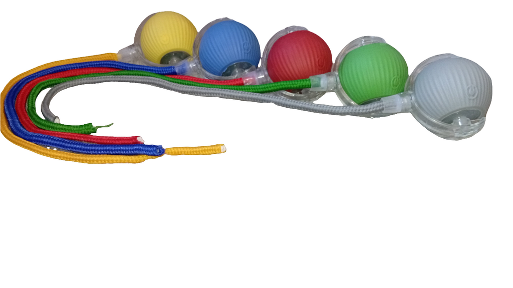 Captainpaw Interactieve Speelgoedbal