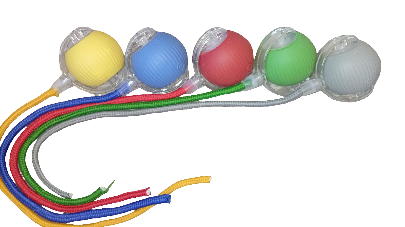 Captainpaw Interactieve Speelgoedbal