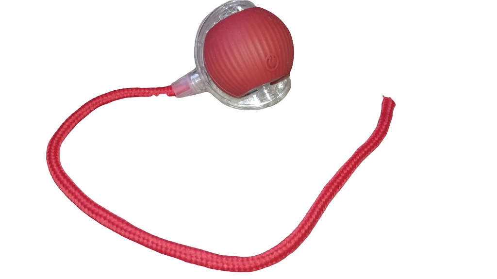 Captainpaw Interactieve Speelgoedbal